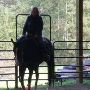 Meet your Posher, Alison